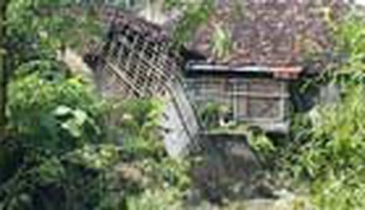 liputan6