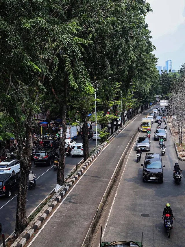 Mengkhawatirkan, Kondisi Pohon di Beberapa Ruas Jalan di Jakarta