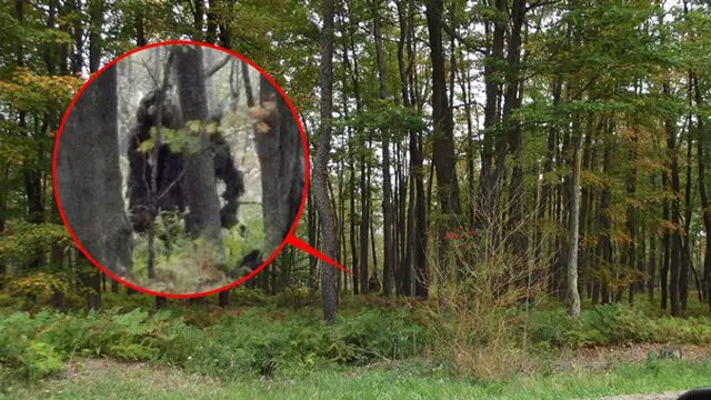 Bigfoot 2