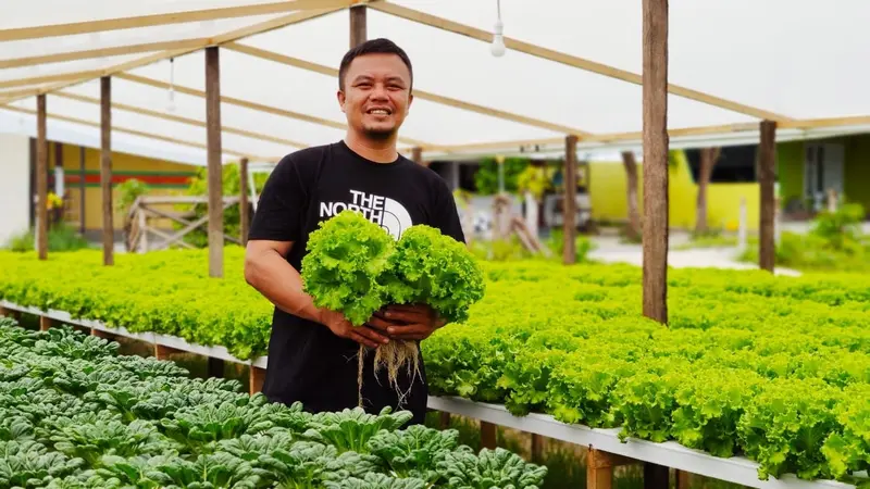 Rudy Adam petani hidroponik Gorontalo yang usahanya bertahan meski di tengah pandemi (Liputan6.com/Gorontalo)