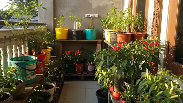 Pot Vertikal Bertingkat