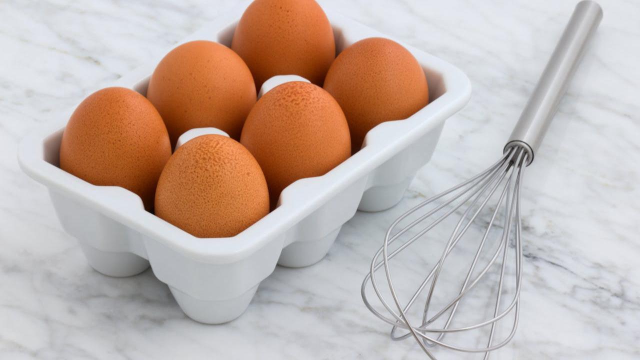 Ilustrasi Telur Ayam