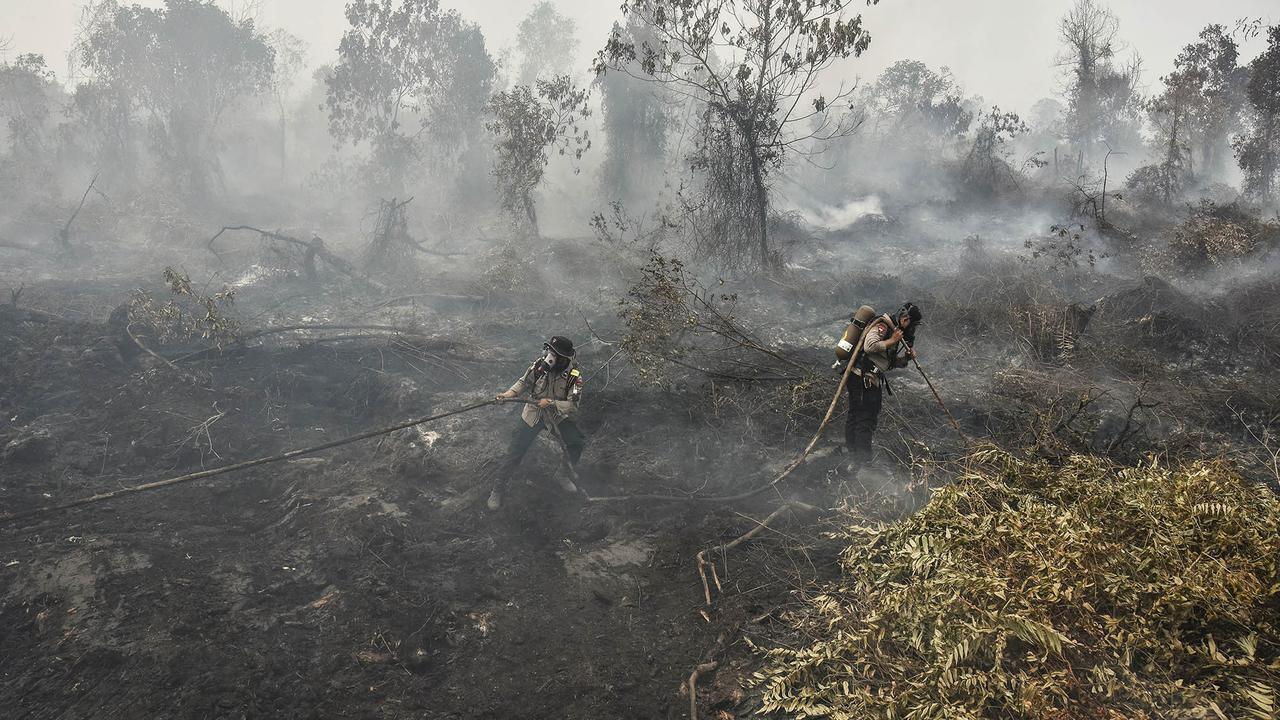 Sejumlah Daerah Dilanda Kebakaran Lahan Gambut