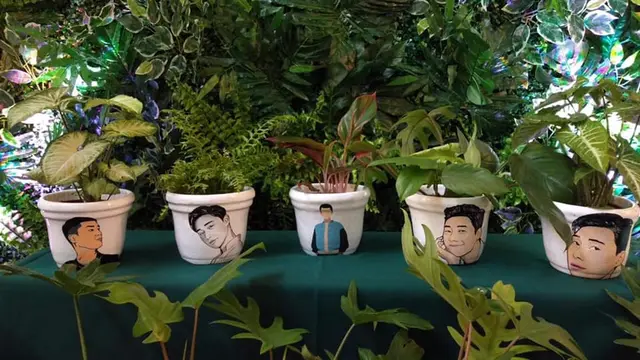 Penggemar Park Seo Joon