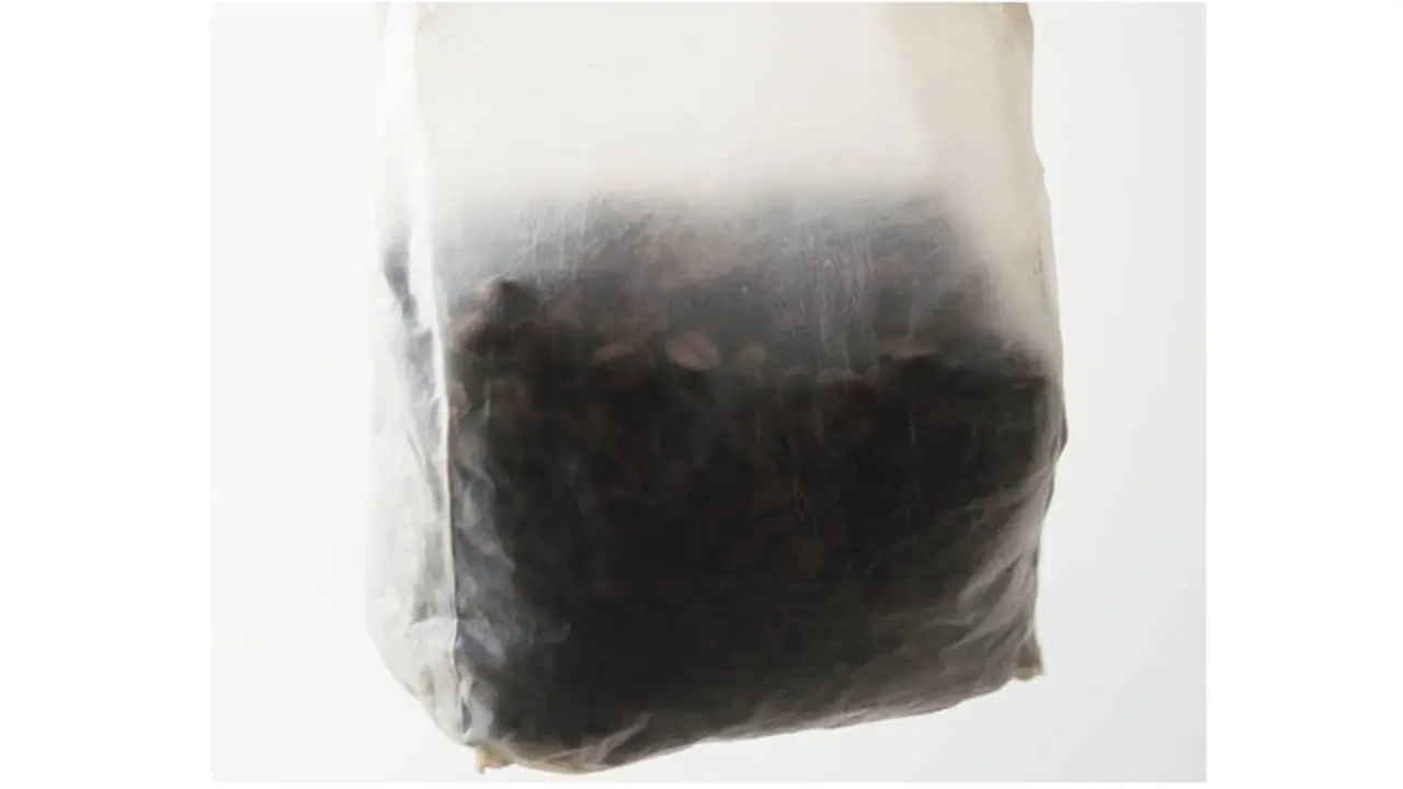 Scoby pengganti plastik