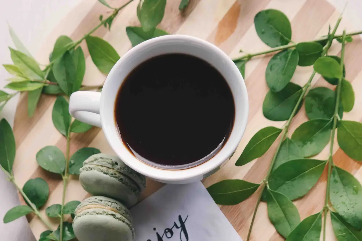 minum kopi