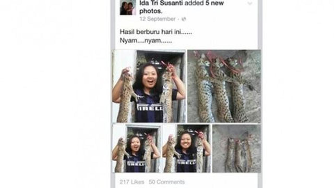 BKSDA Jatim buru pedagang kucing hutan yang diunggah mahasiswi Unej