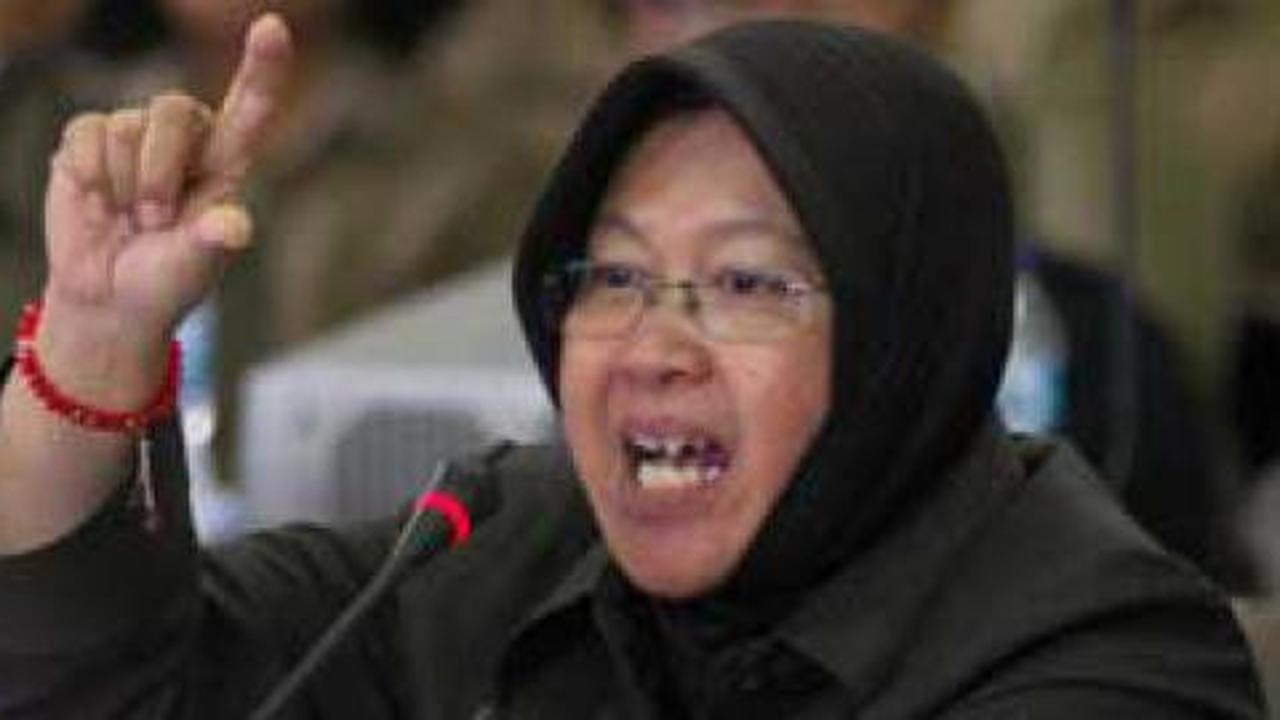 Catatan prestasi Jokowi, Tri Risma, Syahrul