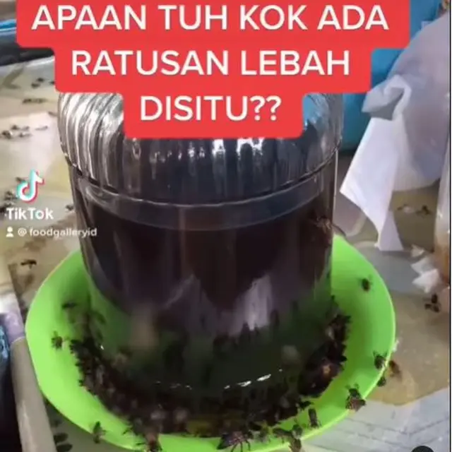 Jajanan Unik Es Kelapa Madu di Bandung, Kerumunan Lebah Jadi Daya Tarik