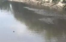 Fakta di Balik Tercemarnya Sungai Bengawan Solo, Bencana Rutin Tiap Tahun