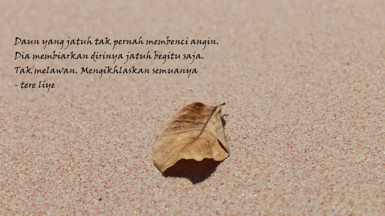 Berjuta Rasa Quote Tere Liye yang Bisa Jadi Renungan Kamu