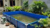 Tips Budidaya Lele Sangkuriang di Kolam Kecil yang Efisien dan Menguntungkan