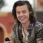 Harry Styles. (Huffingtonpost)