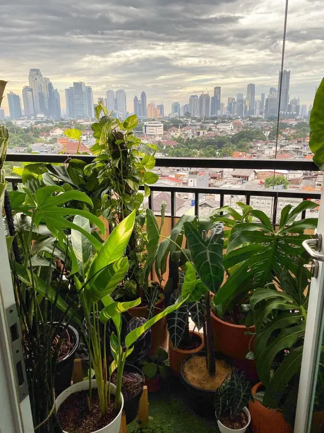 Kebun di Apartemen Ernest Prakasa