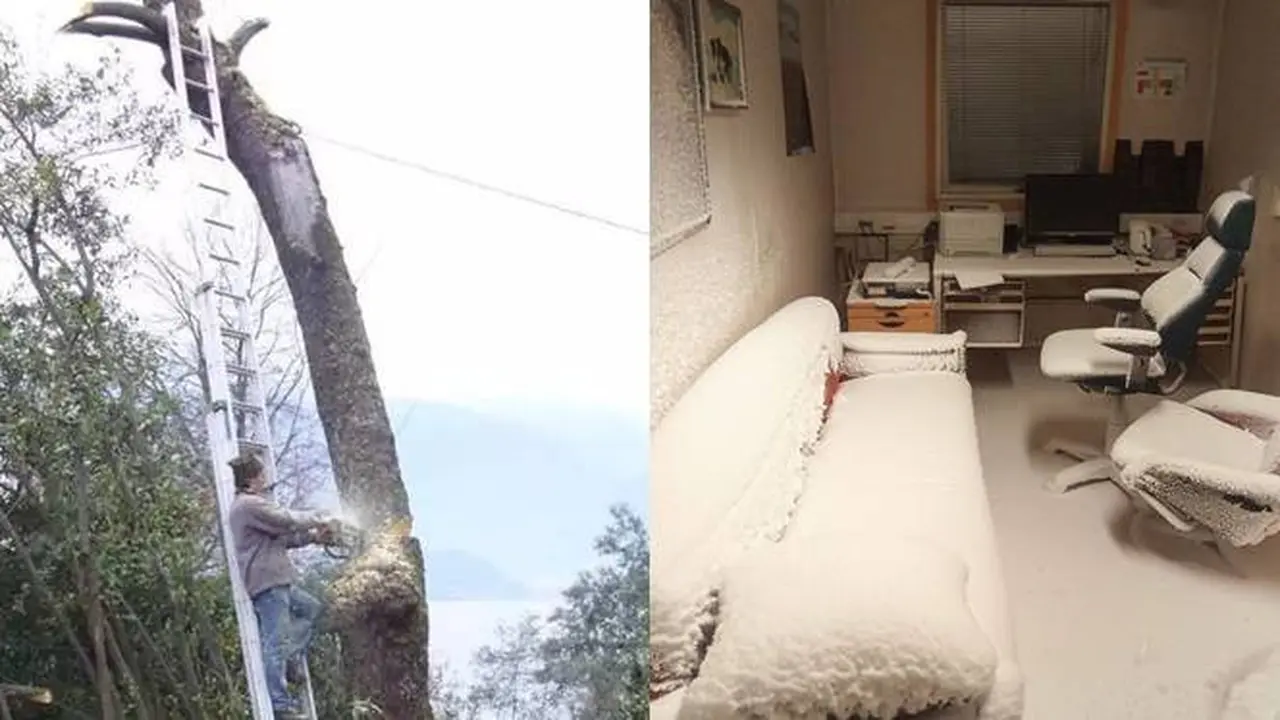 7 Momen Apes Karena Lupa Ini Bikin Tepuk Jidat, Ada yang Bikin Kamar Membeku