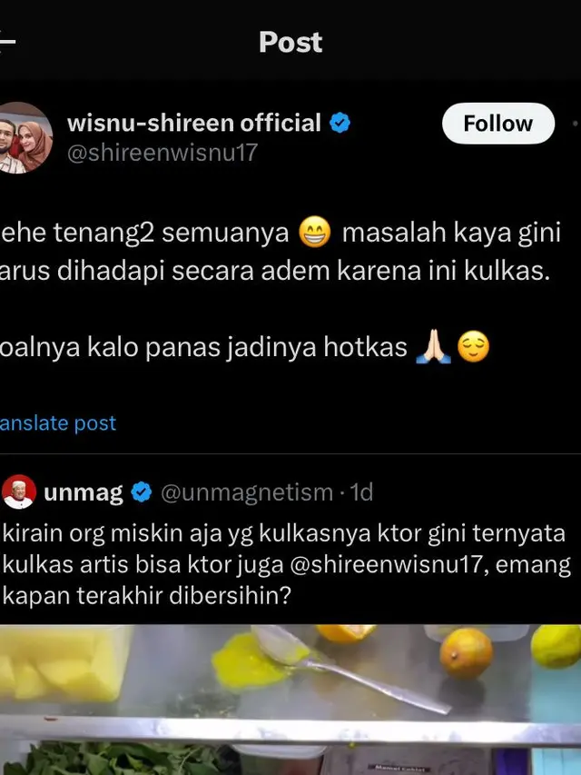 Teuku Wisnu