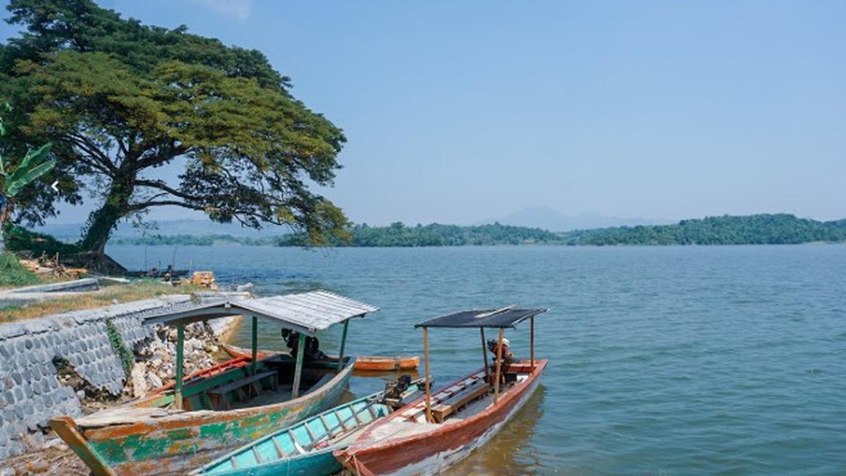 10 Rekomendasi Spot Mancing Nyaman 2025 di Bojonegoro, Mulai dari Bendungan hingga Rawa