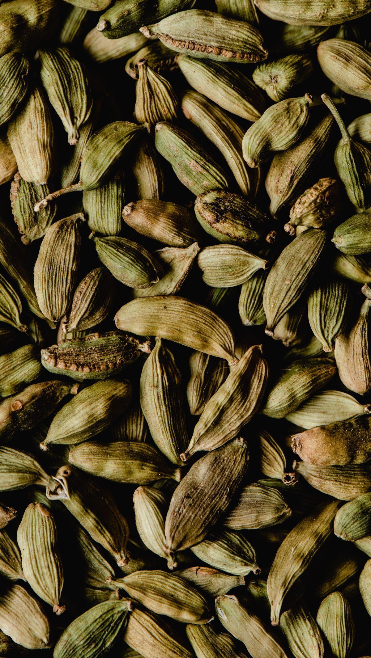 Kapulaga adalah rempah-rempah dengan rasa yang kuat dan sedikit manis. Kapulaga berasal dari India, namun saat ini telah tersebar di seluruh dunia dan digunakan dalam aneka resep makanan dan minuman. Biji, minyak, dan ekstrak kapulaga dianggap memiliki kh