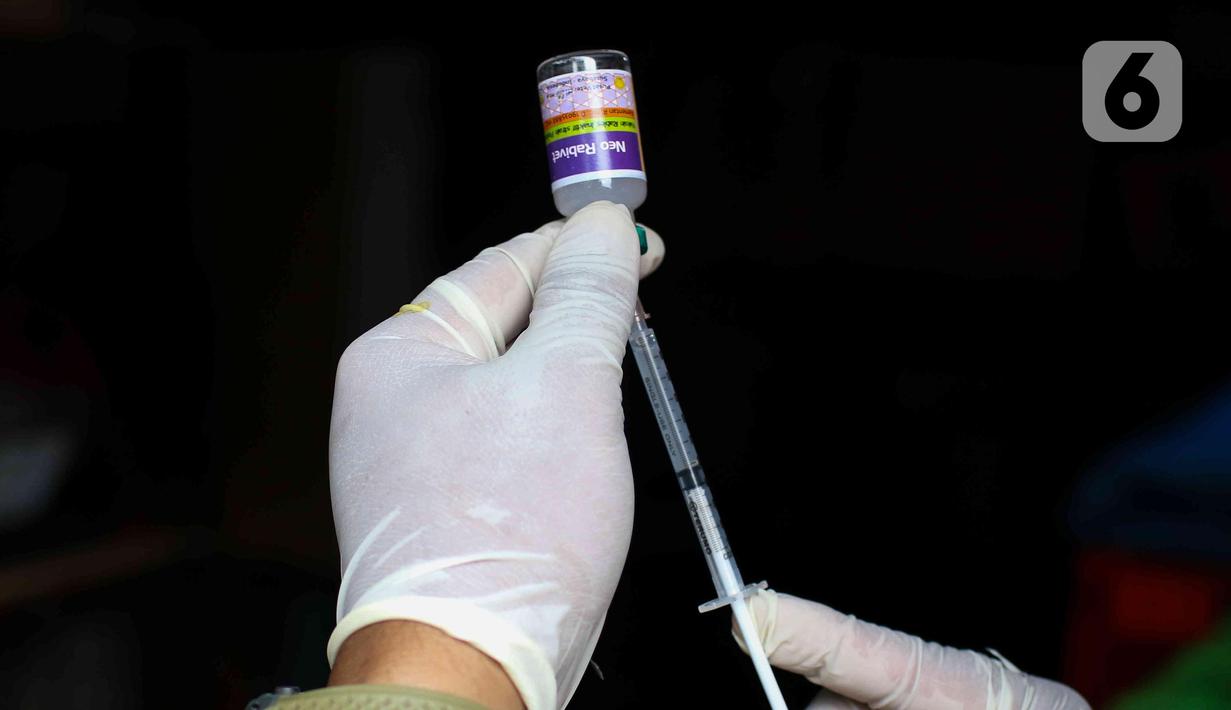 Petugas menyiapkan vaksin rabies untuk hewan di Pasar Barito, Jakarta, Senin (28/3/2022). Penyemprotan disinfektan, pemeriksaan kesehatan hewan dan vaksinasi rabies gratis untuk mengantisipasi penyebaran penyakit di pasar hewan tersebut. (Liputan6.com/Herman Zakharia)