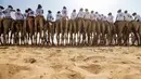 Para joki bersiap mengikuti balapan unta dalam festival warisan Sheikh Sultan Bin Zayed al-Nahyan di Abu Dhabi, Uni Emirat Arab (10/2). Balap unta merupakan olahraga tradisional dari Uni Arab Emirates. (AFP/Karim Sahib)