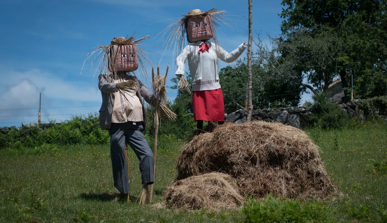 Dua orang-orangan sawah ditampilkan dalam kontes orang-orangan sawah di desa A Lama, Spanyol, 9 Juni 2017. Dalam acara tahunan itu, kreasi para penduduk dipajangkan di tempat-tempat strategis, seperti kebun atau persimpangan jalan. (MIGUEL RIOPA/AFP)