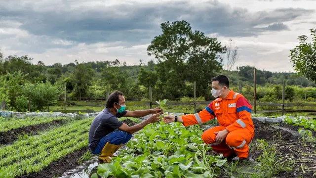Petani Muda 4.0