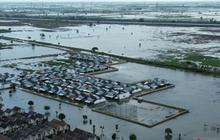 Pemkab Bekasi Usulkan 217 Ton Bantuan Benih Padi untuk Petani Terdampak Banjir, Jaga Ketahanan Pangan Daerah