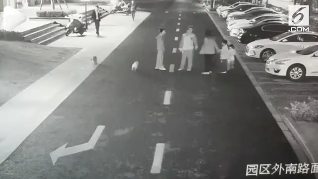 VIDEO: Pria Pukul Wanita Karena Usir Hewan Peliharaan Miliknya