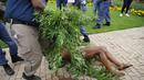 Raja Khoisan Afrika Selatan memegang tanaman ganja saat polisi menyeretnya untuk menyita tanaman tersebut pada penggerebekan di Union Buildings, Pretoria pada 12 Januari 2022. Tanaman ganja itu milik penduduk suku Khoisan, yang bermukim di daerah tersebut selama tiga tahun. (Phill Magakoe/AFP)
