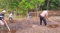 Kanit Sabhara Polsek Marore Bripka D Makaringas dan Bhabinkamtibmas Kampung Marore Brigpol M Sasube bersama warga sekitar mengolah lahan perkebunan tersebut.