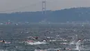 Ratusan atlet renang mengikuti lomba renang dari Asia hingga Eropa di Selat Bosphorus ke-30, Istanbul, Turki, (22/7). Lebih dari 2.000 peserta terjun dari feri dan berenang sejauh sekitar 6,5 km di acara tersebut. (AP Photo/Lefteris Pitarakis)