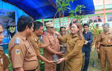 Pemkab Donggala Genjot Pengembangan Mangga Unggulan untuk Agribisnis Berkelanjutan