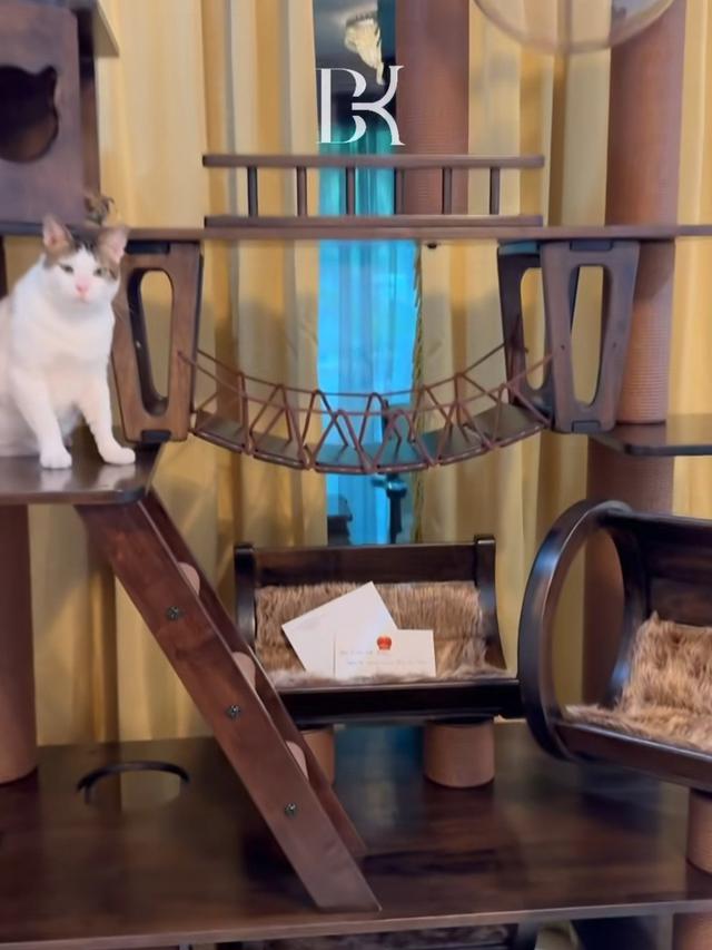 Rumah Bobby Kertanegara Kucing Prabowo