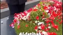 Tampak dalam videonya, Gala membawa plastik berisi bunga dan kemudian menuang di atas pusara orangtua. [TikTok/dianaalstri22]