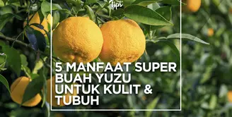 5 Manfaat Super Buah Yuzu untuk Kulit dan Tubuh