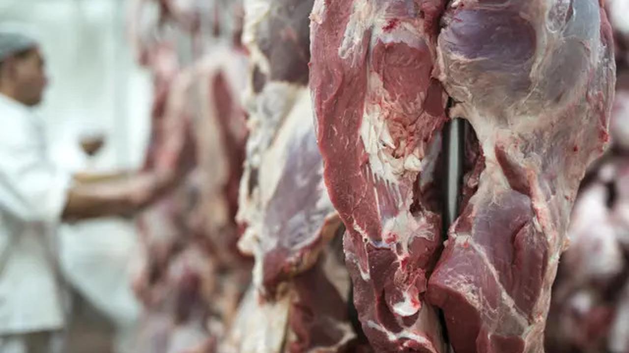 Cara Lengkap Menyimpan Daging Mentah Agar Tetap Segar dan Awet