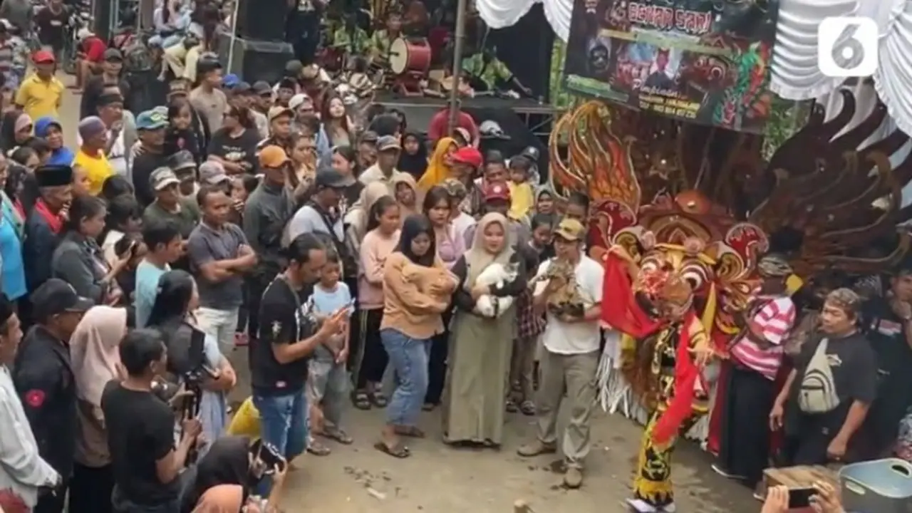 Alasan Pemilik 3 Kucing Bikin Pesta Ulang Tahun Rp50 Juta, Bakal Dibikin Lagi Tahun Depan?
