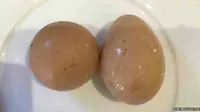 Fantastis, Telur Ayam Bulat Ini Terjual Rp 10 juta