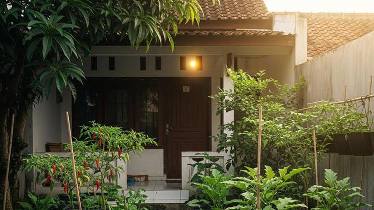 Berapa Pot Ideal untuk Panen Sayur Keluarga di Rumah Lahan Sempit? Ini Idealnya