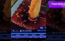 VIDEO: Viral Pria Mesum Sesama Jenis di Masjid Terekam CCTV Diamankan Polisi, Satu Pelaku Kabur
