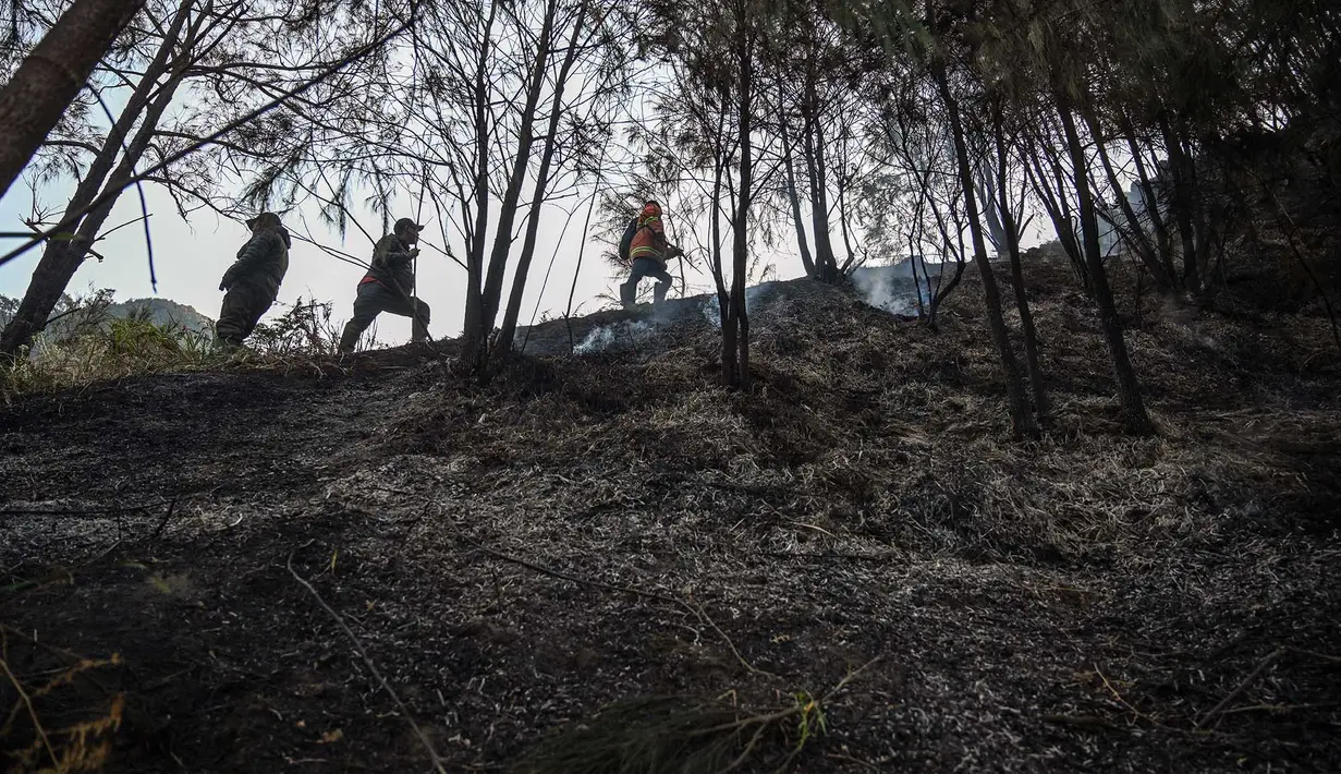 Relawan memadamkan api di Taman Nasional Bromo Tengger Semeru dekat Gunung Bromo di Pasuruan, Jawa Timur, Senin, 10 Agustus 2026. (AFP/ Juni Kriswanto)