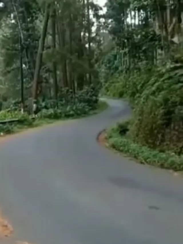 Curhatan Kurir Paket Lewati Hutan Demi Antar Permen Rp 153 Ini Jadi Sorotan
