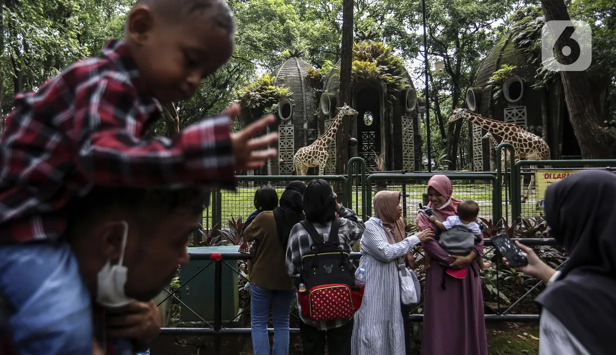 <p>Pengunjung melihat jerapah saat menikmati liburan hari kedua Idul Fitri 1443 H di Taman Margasatwa Ragunan, Jakarta, Selasa (3/5/2022). Dalam pengoperasiannya, pengunjung harus memahami sejumlah syarat dan ketentuan yang dikeluarkan oleh Taman Margasatwa Ragunan, salah satunya soal pembelian tiket. (Liputan6.com/Johan Tallo)</p>