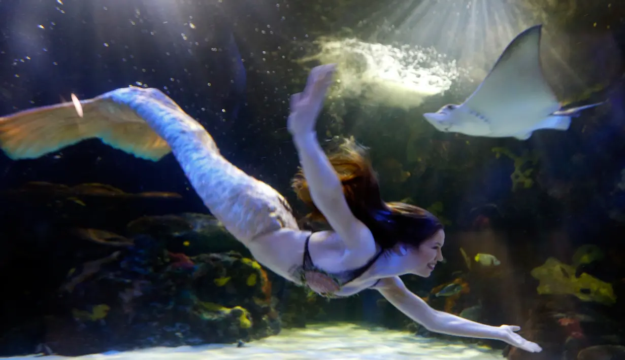 Penampilan putri duyung Hales Parcels saat menghibur penonton di Virginia Aquarium di Virginia Beach (3/4). Hales Parcels tampil berenang menggunakan pakaian ala putri duyung. (AP Photo/Steve Helber)