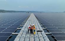 Tahukah Anda, Bioenergi B40 Hemat Devisa Rp93,43 T? Pemerintah Genjot Pengembangan EBT Wujudkan Kemandirian Energi Nasional