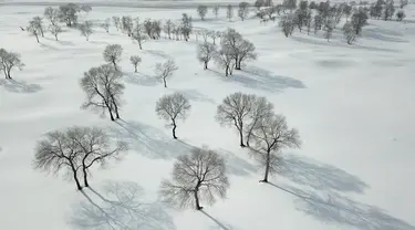 Foto dari udara yang diabadikan pada 4 Desember 2020 ini menunjukkan pemandangan musim dingin di padang rumput Yudaokou di Kota Chengde, Provinsi Hebei, China utara. (Xinhua/Wang Liqun)