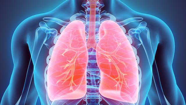 Ilustrasi paru-paru sehat (MDGRPHCS/Shutterstock)