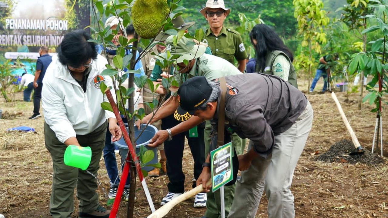 Ikuti Arahan Jokowi, Aksi Menanam Pohon Dilakukan Serentak di 38 Provinsi pada Sabtu Terakhir 2023