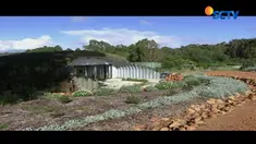 Seorang pria di Australia tinggal di sebuah rumah hobbit. 
