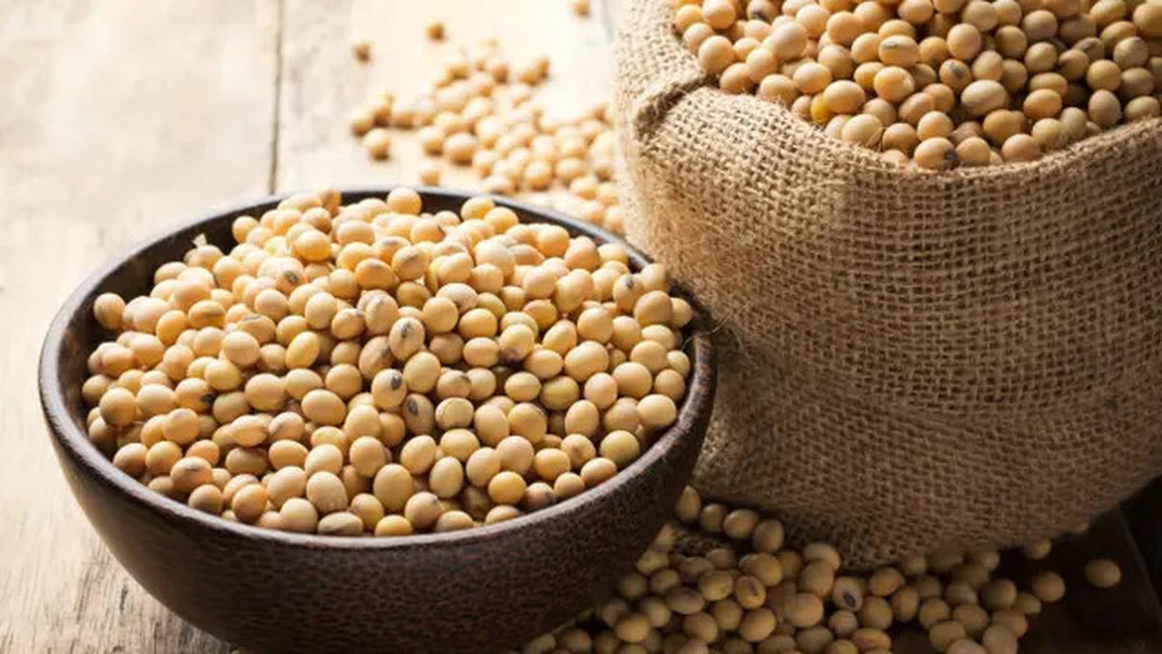 Makanan Penurun Kolesterol Mudah Dibuat Di Rumah, Kacang Kedelai dan Jahe